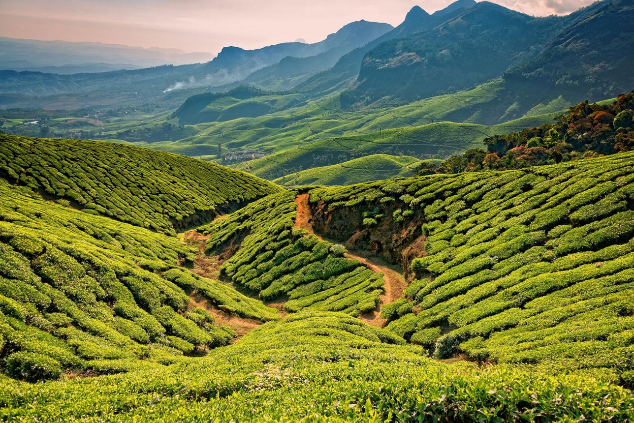Munnar